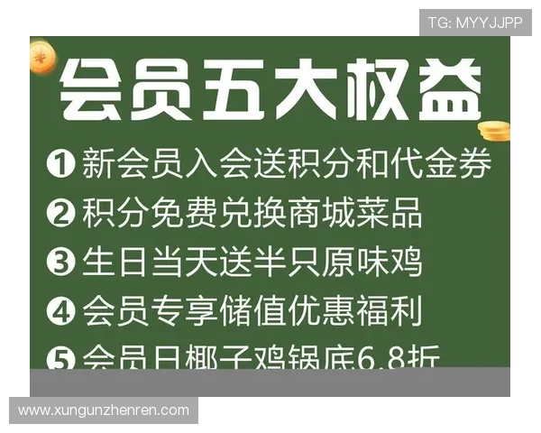 迈博真人会员登录后可以享受哪些专属福利，全面介绍会员权益内容