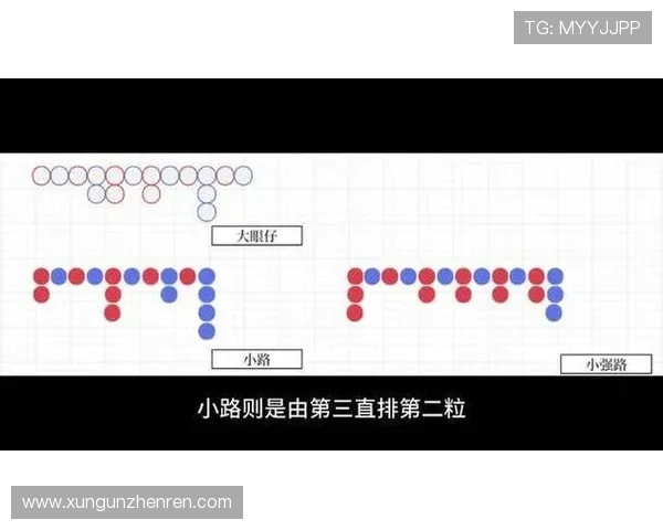 新手必看百家乐小路纸的基础知识及常见误区，快速入门提升游戏体验