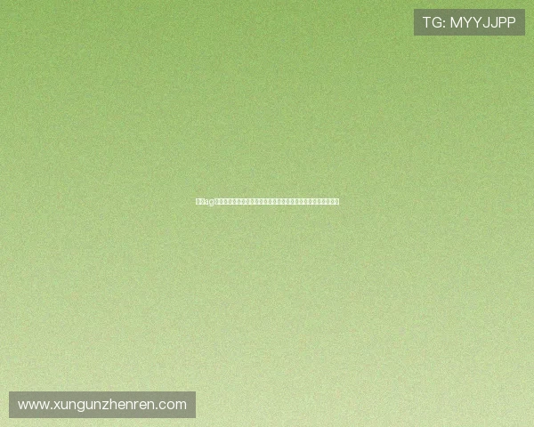 利用ag视讯安全中心确保世界杯直播平台的稳定性与用户信息安全保障